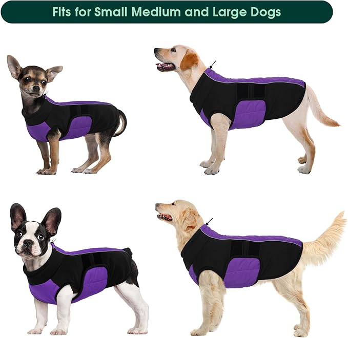 Kuoser Dog Jacket, Winter Dog Coats for Medium Dogs, Reflective Doggie Cold Weather Coats Pet Clothes, Puppy Snow Jacket for Frech Bulldog, Boston Terrier, Purple M