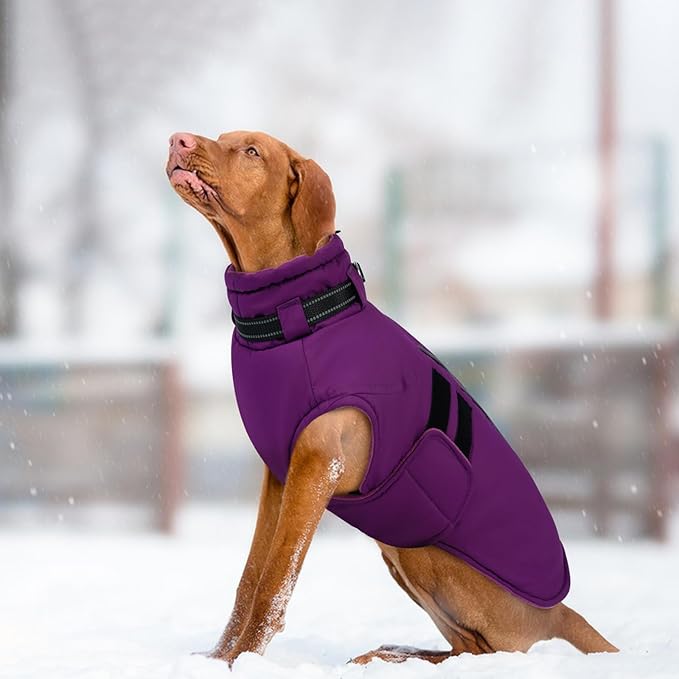 IECOii Winter Dog Coats for Large Dogs, Dog Snow Jacket with Built in Collar & Reflective Strips, Warm Windproof Fleece Dogs Jacket for Cold Weather, Adjustable Easy On Pet Snowsuit, Purple - XL