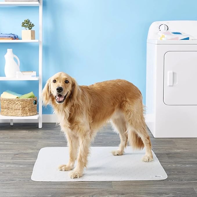 Pet Parents® Pawtect® Pads Washable Pee Pads for Dogs (2pack) of Premium Dog Pee Pads, Waterproof Puppy Pads & Reusable Dog Pads, Whelping Pads & Modern Pee Pads for Dogs (Tan/Grey, 41x41)