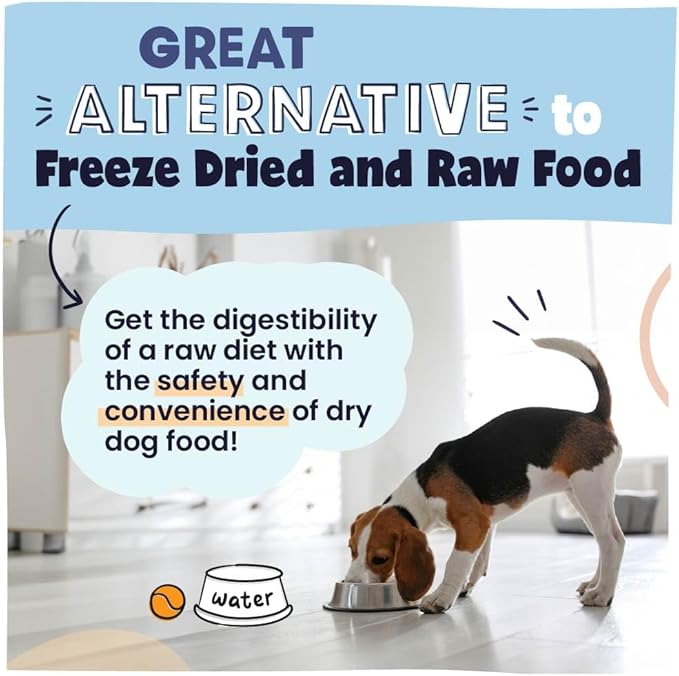 Pawstruck Air Dried Dog Food with Real Chicken, Grain Free, Made in USA, Non-GMO, Vet Recommended, High Protein Limited Ingredient Full-Feed, All Breeds & Ages, 2.5oz Trial Bag (Pack of 2)