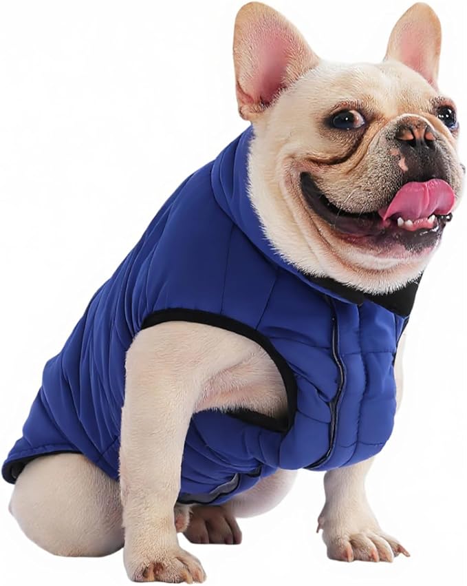 PetWarm Reversible Dog Cold Weather Coats, Waterproof Dog Puffer Vest, Vest for Dogs with Hook-and-Loop Strap, Windproof Outdoor Coat for Winter Walks and Snowy Days, Blue, S