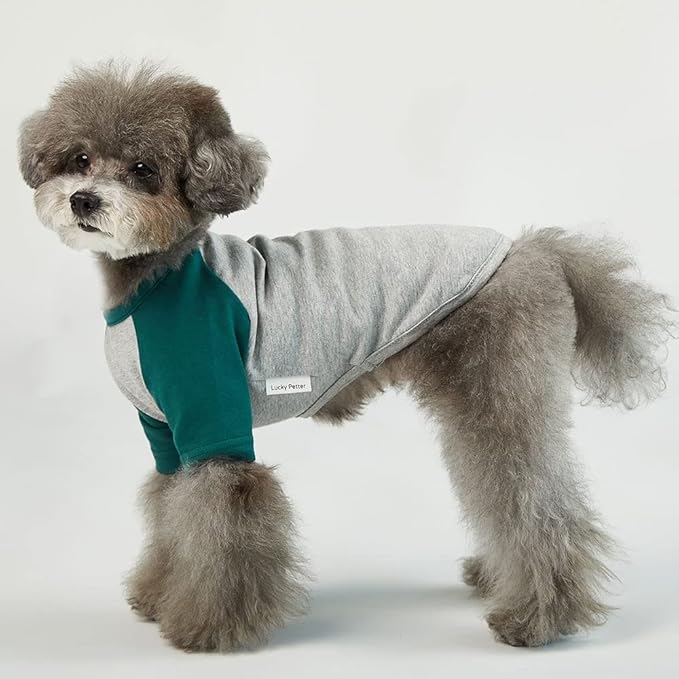 Dog Shirt for Small and Large Dogs Raglan Cotton T-Shirts Soft Breathable Dog Shirts pet Clothes Gray Series (Medium, Gray/Green)
