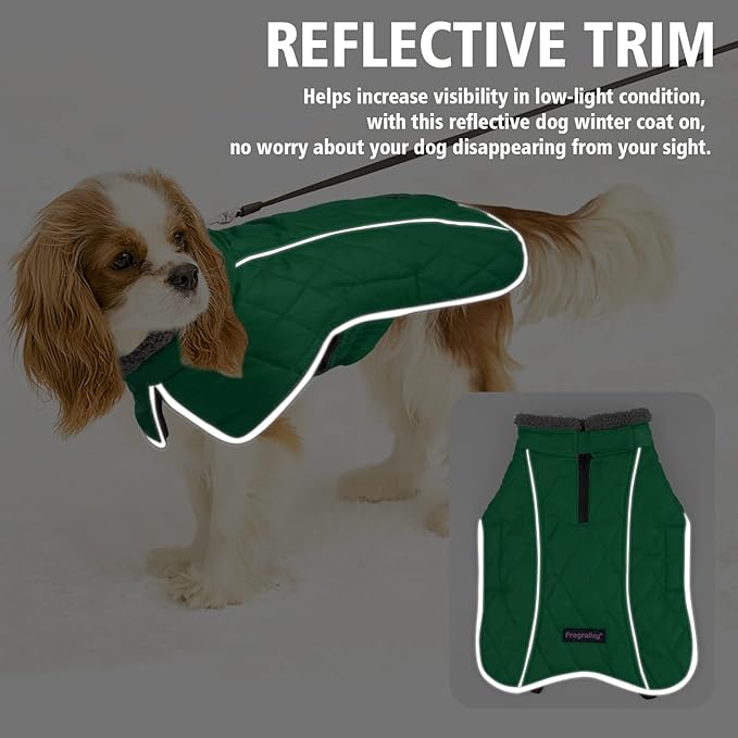 Fragralley Dog Coat Medium, Waterproof Dog Jacket with Warm Fleece Lining, Adjustable Reflective Dogs Winter Coat, Turtleneck Pet Coats for Cold Weather (Green M)