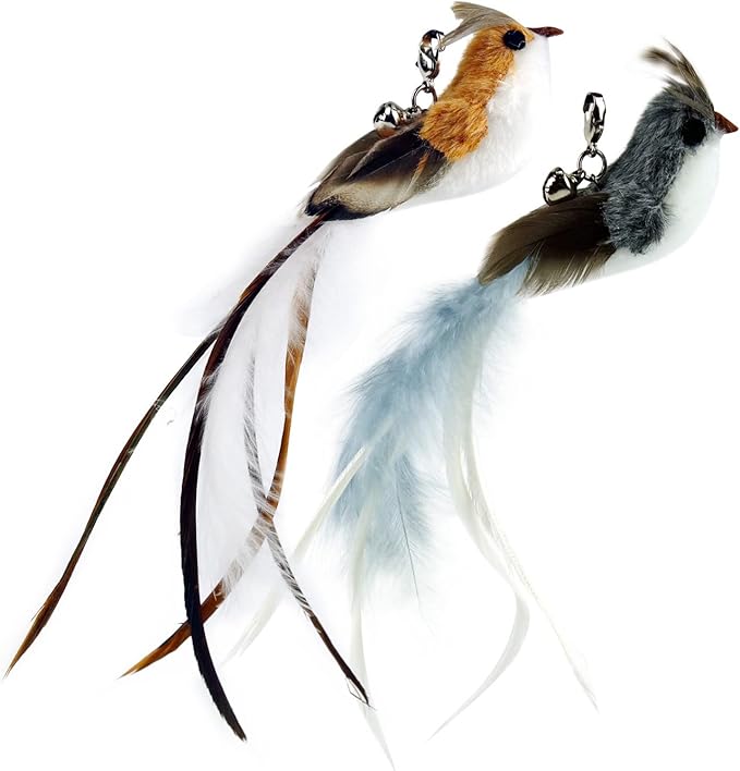 TTcat Cat Feather Toy Replacement Wand Refills, 10 Pcs Simulation Insects Bird Feathers