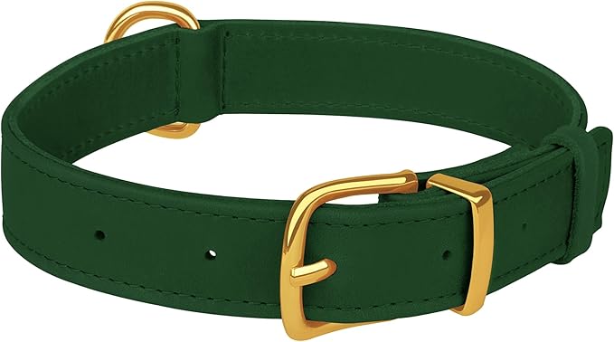 Leather Dog Collar - Heavy Duty Adjustable Soft Padded Pet Collars for Small Medium Large Dogs Breed - Black Green Brown Pink Red Blue (Green, S, 9"-12" Neck Fit)