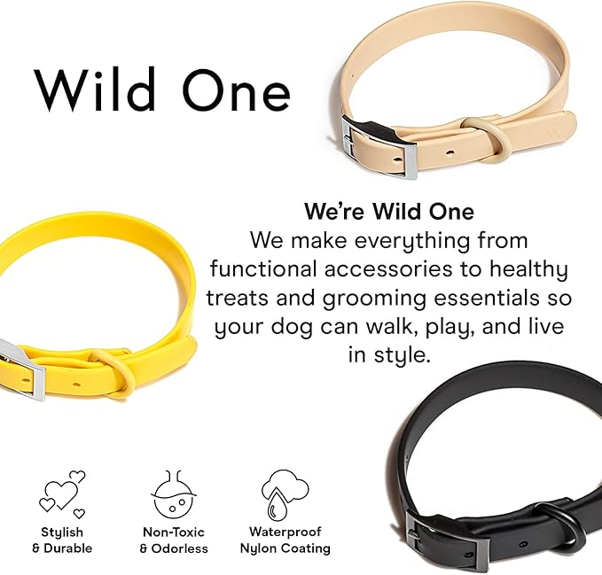 Wild One Dog Collar, Easy-Clean, All Weather Flex-Poly Strap with Metal, Durable, Dirt and Odor Resistant (Black, M)