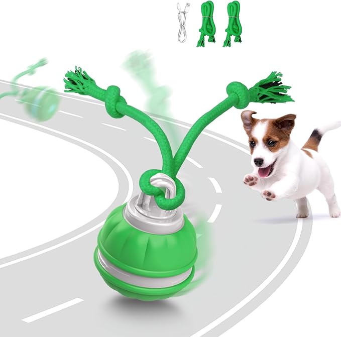 Interactive Dog Toys for Small Dogs, Automatic Moving, Motion Activated, Squeak, Active Rolling Dog Ball Wicked Ball for Daily Training