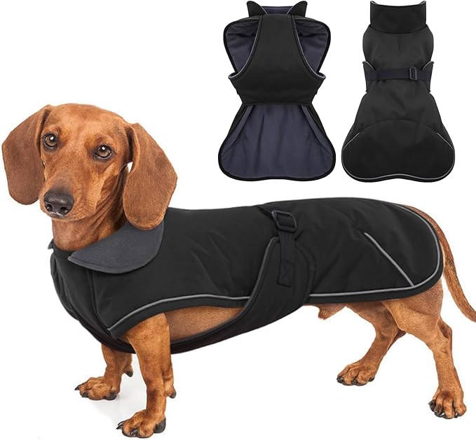 Dachshund Coat - Warm Winter Dog Jacket with Fleece Lining, Windproof Waterproof Snowsuit, Black, Medium
