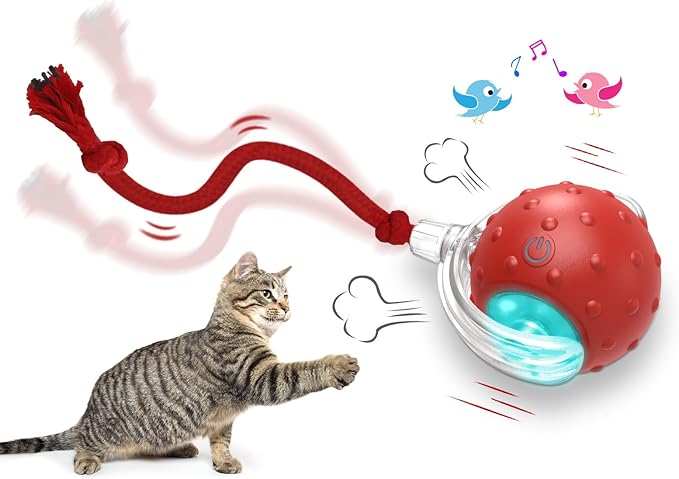 Interactive Cat Toys Ball for Indoor Cats Fast Rolling on Carpet, Chirping & Motion Activate Cat Toys