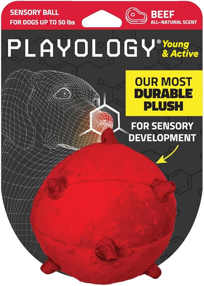 Playology Dog Toys | Puppy Toy Plush Sensory Ball for Dogs and Puppies for Dogs and Puppies | Medium Beef Scented Toy - Easy to Clean and Made from Non Toxic Materials