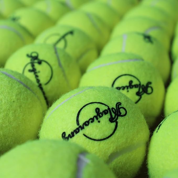 Magicorange Tennis Balls, 60 Pack Advanced Training Tennis Balls Practice Ball, Pet Dog Playing Balls,Good for Beginner Training Ball