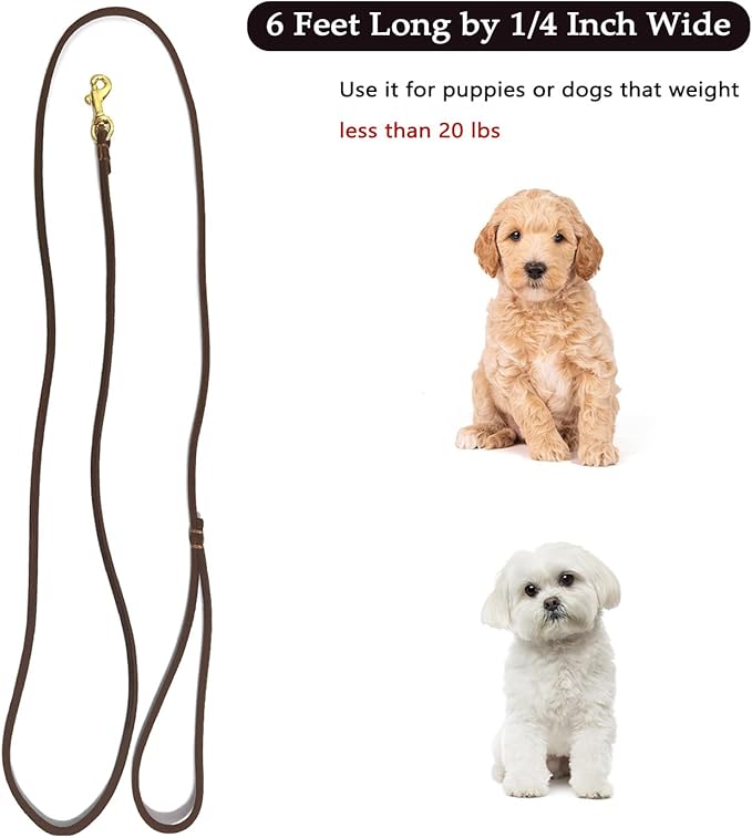 Guiding Star Leather Dog Leash 6 ft x 1/4 inch,Thin and Lightweight Leather Leashes for Small Dogs,Leather Cat Leashes for Small Cats,Soft Genuine Leather Dog Training Leashes for Petite Dogs Brown