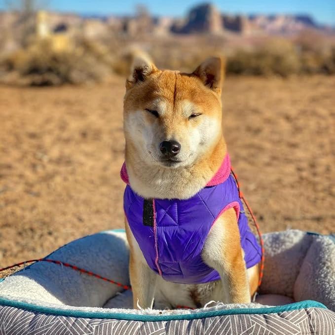 Gooby Sports Vest Dog Jacket - Purple, X-Small - Reflective Dog Vest with D Ring Leash Warm Fleece Lined Hook and Loop Closure for Small to Medium Dogs