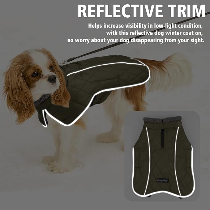 Fragralley Dog Coat Large, Waterproof Dog Jacket with Warm Fleece Lining, Adjustable Reflective Dogs Winter Coat, Turtleneck Pet Coats for Cold Weather (ArmyGreen XL)