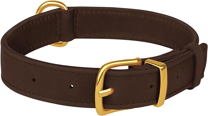 Leather Dog Collar - Heavy Duty Adjustable Soft Padded Pet Collars for Small Medium Large Dogs Breed - Black Green Brown Pink Red Blue (Brown, S, 9"-12" Neck Fit)