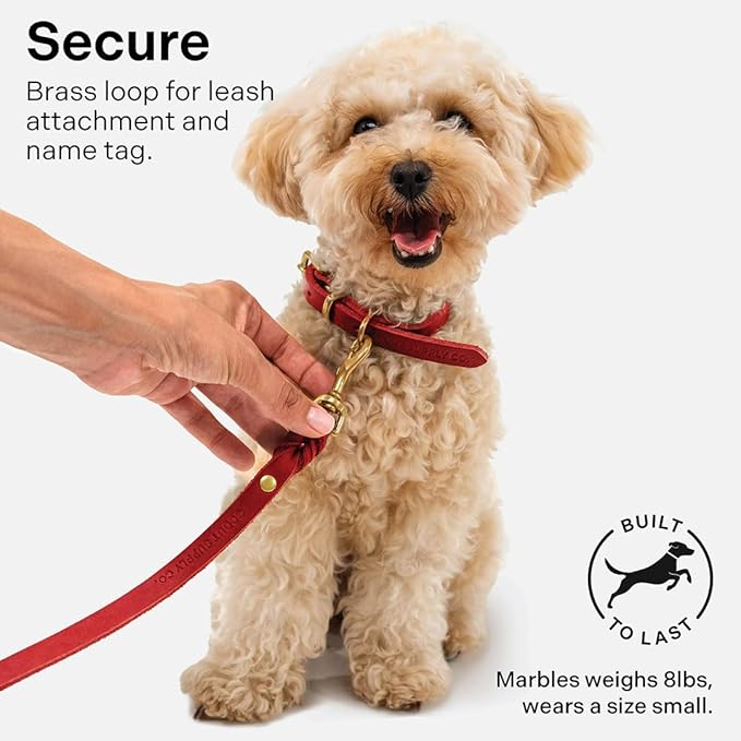 Classic Genuine Leather Dog Collar | Dog Collars for Medium Dogs, Small Dogs, Large Dogs & Extra Large Dog | Wide Dog Collar | Heavy Duty Collar (Red, Large)