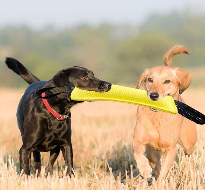 Clysoru Dog Tug Toy Dog，Double Pack Tough Jute Bite Pillow Training Equipment - Puppy to Large Dogs Interactive Toy.