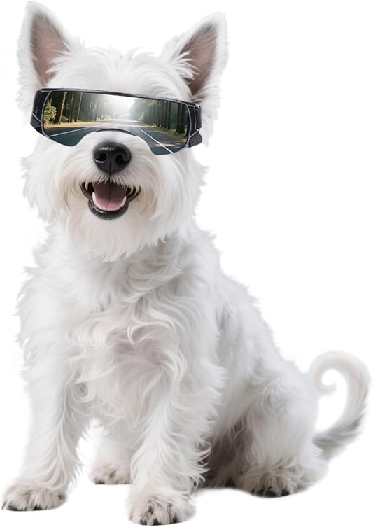 Namsan Dog Goggles Small Breeds, UV Protection Dog Glasses for Small Dogs, Puppy Sunglases Windproof Dustproof Driving Eye Protection, Adjustable, Cute Silver