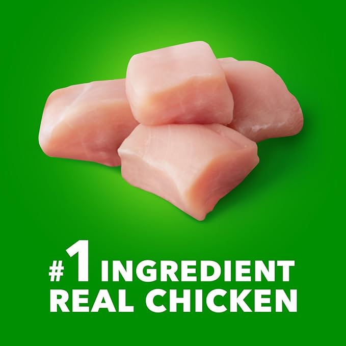 IAMS Proactive Health Large Breed Puppy Food with Real Chicken, 15 lb. Bag