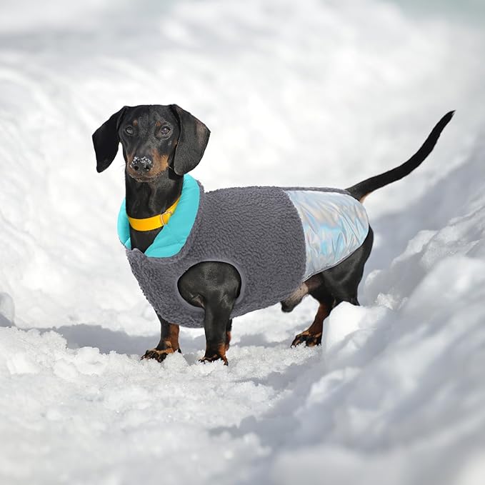 EMUST Small Dog Sweater, Reversible Winter Jacket Coats for Small Dogs, Fuzzy Pet Apparel Vest for Small Medium Dogs, Grey, S