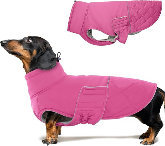 BRKURLEG Dog Winter Jacket, Warm Dog Winter Coats for Small and Medium Large Dogs, Reflective Adjustable Pet Cold Weather Coats, Waterproof Dogs Snow Jacket Clothes Fleece Vest (XS, Rose Red)