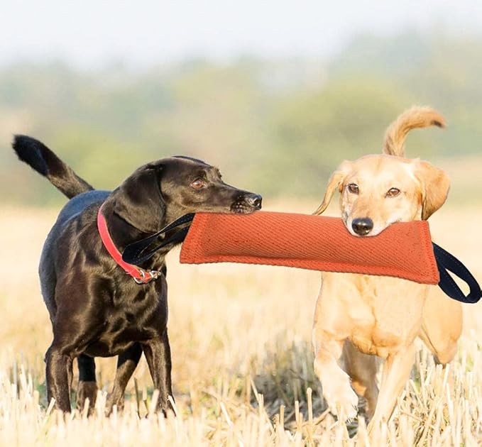 Clysoru Dog Tug Toy Dog，Double Pack Tough Jute Bite Pillow Training Equipment - Puppy to Large Dogs Interactive Toy.