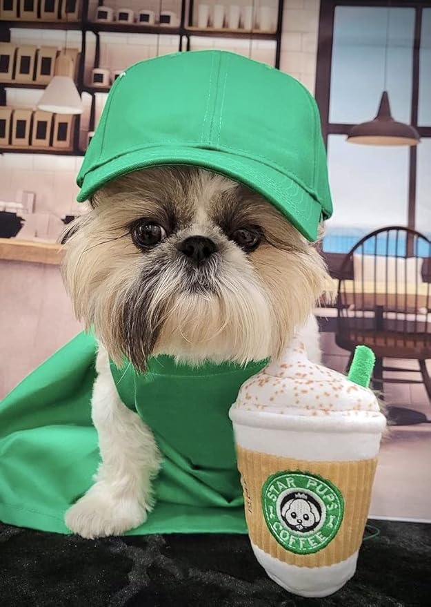 Nestpark Parody Star Pups Coffee Dog Toy Pup'kin Spice Latte - Funny Plush Squeaky Crinkle Dog Toys for Medium, Small and Large for Dog Birthday