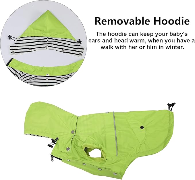Dog Raincoat Waterproof Raincoats Dog rain Jacket Buttons Zipper Hood Drawstring Suitable for Small Medium Yorkie Terrier Schnauzer Poodle Border Collie Labrador 8lbs to 80lbs Green M