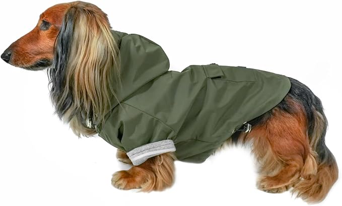 DJANGO Highland Dog Jacket & Raincoat – Water-Repellent, Lined Dog Coat with Hood, Adjustable Fit & Harness Hole – Lightweight Rain & Wind Jacket for Small & Medium Dogs up to 30 lbs (Olive, Large)