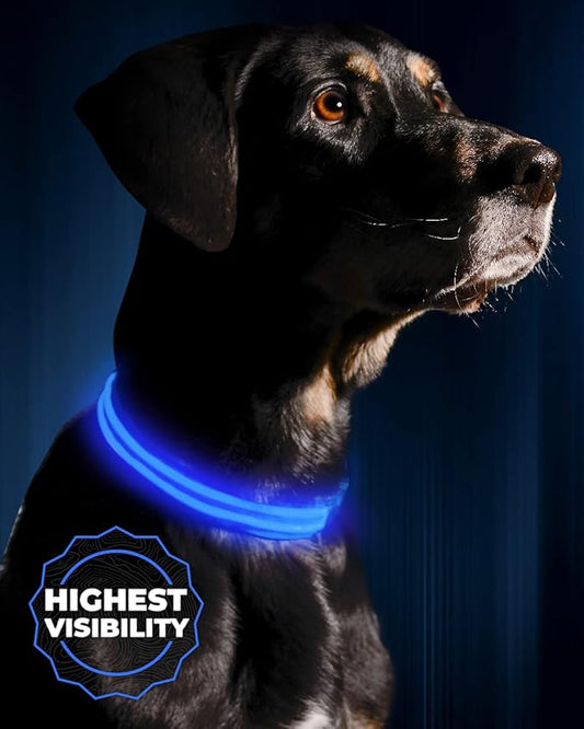 ILLUMISEEN LED Dog Collar USB Rechargeable - Bright & High Visibility Lighted Glow Collar for Pet Night Walking - Weatherproof, in 6 Colors & 6 Sizes (Blue Medium)