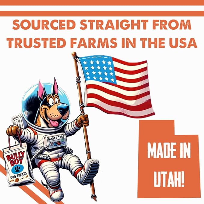 Bully Boy's Famous Mini Beef Training Nibs Dog Treats | Free from Wheat, Corn, Soy, or Gluten | USA Sourced Ingredients | with Smokehouse Beef | Made in Utah | 7 oz - 1 Pack