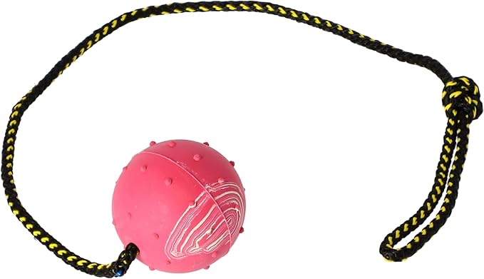 Dingo Nubby Dog Ball - Fully Rubber-Filled, with 60 cm Long Rope - Suitable for Fetching, Dog Sports, Agility, Playtime - Medium Size - Random Colour