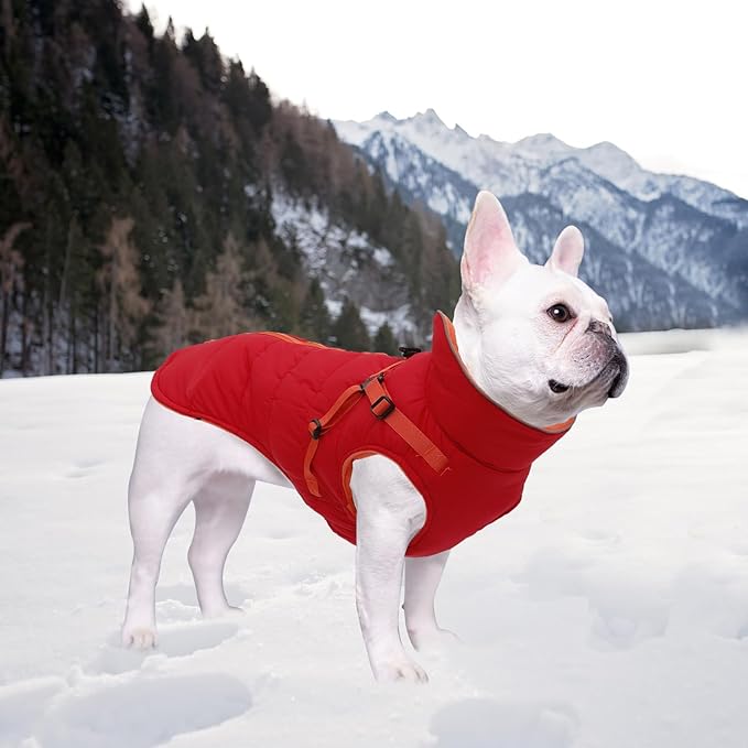 Geyecete Winter Warm Coat Waterproof Dog Winter Jacket with Harness Traction Belt,Windproof Pet Outdoor Jacket Dog Autumn-Red-M