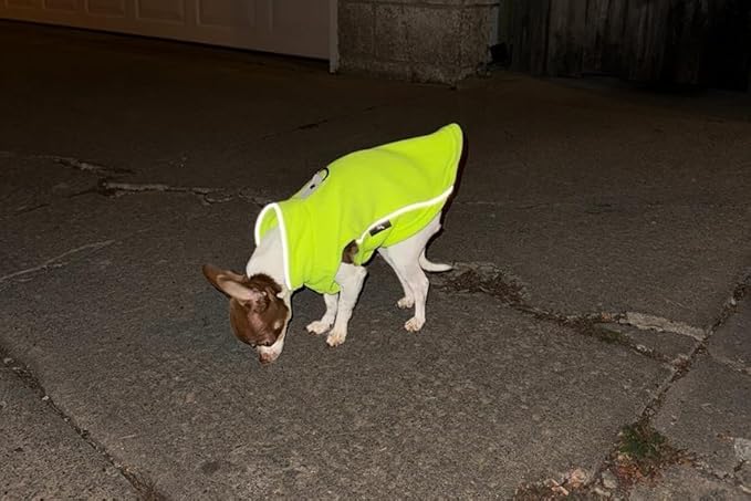 JACKO & CO - Fleece Vest Dog Sweater with Leash Ring - Soft, Warm & Lightweight Pullover Coat for Small & Medium Dogs, Puppies & Cats - Cozy Fall/Winter/Spring Pet Jacket (Lime Green, Large 10-16lbs)