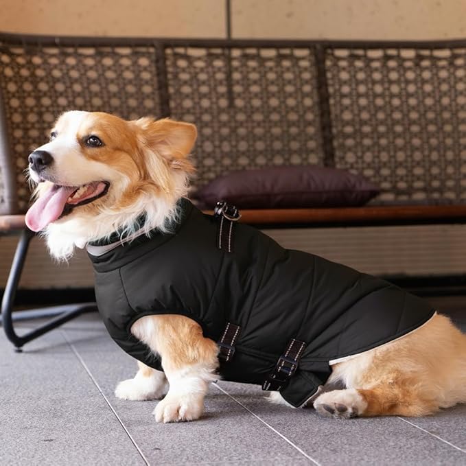 Dog Coat with Harness Built-in, Waterproof Reflective Fleece Lined - Warm Windproof Winter Jacket with Back Zipper, Cold Weather Snow Dog Coats - Black - L
