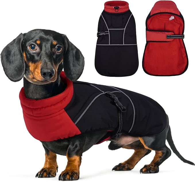 Lelepet Dachshund Coat Warm Dog Winter Coat Waterproof Dog Jacket with Fleece Lining, Reflective Outdoor Dachshund Snowsuit with Leash Hole Adjustable Neckline,Coats for Small Medium Dogs,Red, S