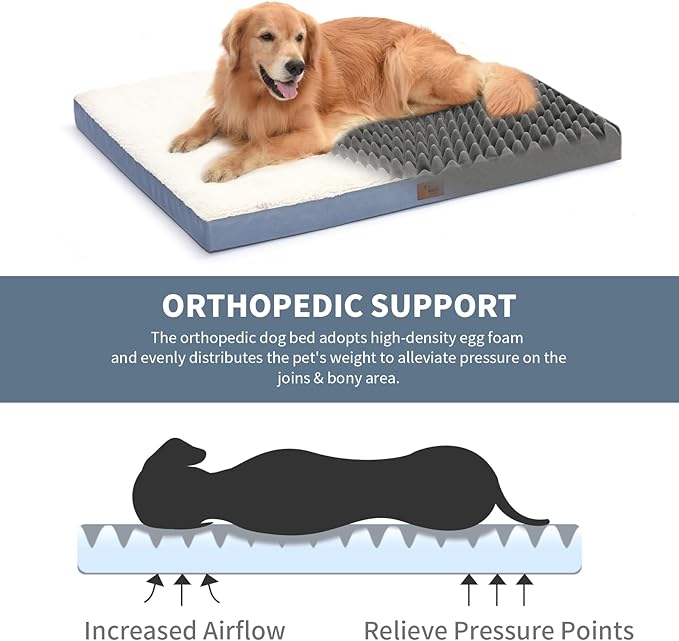 Orthopedic Dog Bed for Large Dogs, Plush Washable Pet Bed for Large Size Dogs with Egg Crate Foam & Removable Oxford Cover, 36x27 Inch, Blue White