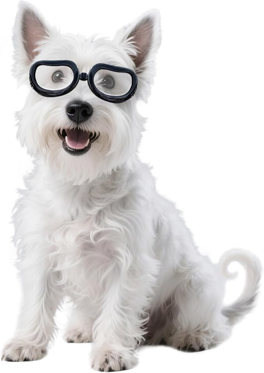 Namsan Clear Dog Goggles Small Breed, Anti-UV Sunglasses for Dogs Small Breeds, Windproof Riding Dog Eye Protection, Doggie Glasses with Elastic Straps, Easy Put-on/Adjustable, Transparent