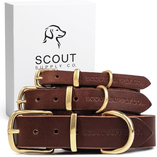 Classic Genuine Leather Dog Collar | Dog Collars for Medium Dogs, Small Dogs, Large Dogs & Extra Large Dog | Wide Dog Collar | Heavy Duty Dog Collar | Dark Brown (M: 0.8" Wide for 13.5"-16" Neck)