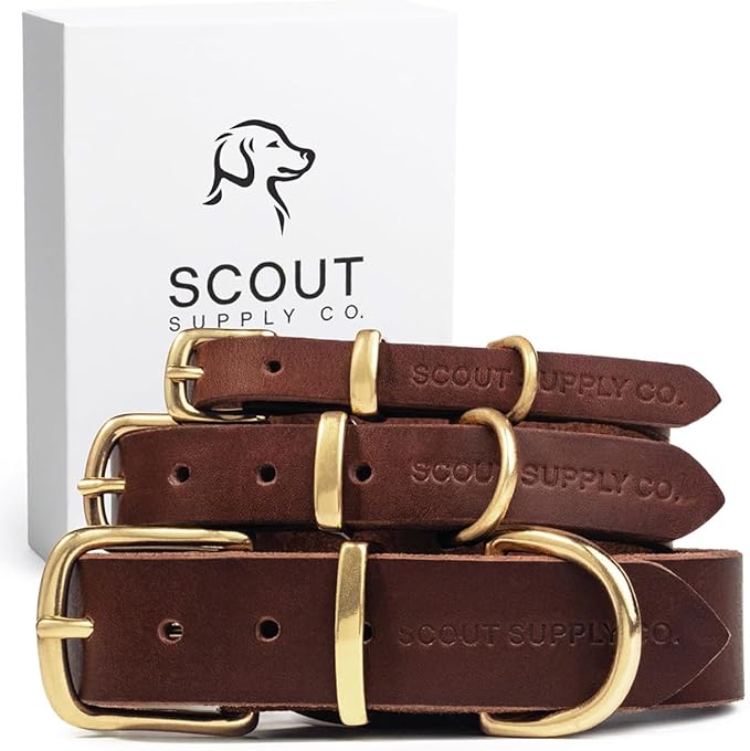 Classic Genuine Leather Dog Collar | Dog Collars for Medium Dogs, Small Dogs, Large Dogs & Extra Large Dog | Wide Dog Collar | Heavy Duty Dog Collar | Dark Brown (XS: 0.5" Wide for 7.5"-10.5" Neck)