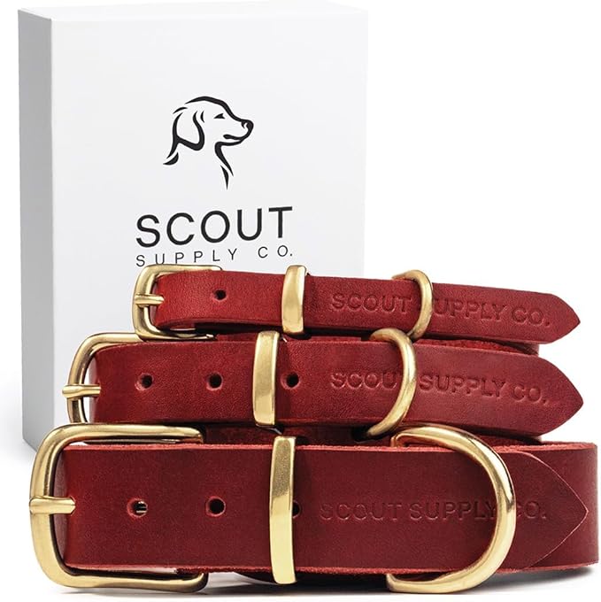 Classic Genuine Leather Dog Collar | Dog Collars for Medium Dogs, Small Dogs, Large Dogs & Extra Large Dog | Wide Dog Collar | Heavy Duty Collar (Red, Large)