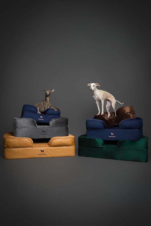 NOAH & PAW Dog Bed, 28x23x7.5 Inch, Orthopedic Dog Beds for Medium Size Pets, Eggshell Memory Foam Infused with Cooling Gel, Waterproof, Machine Washable, Includes Inner Cover (Denim Collection)