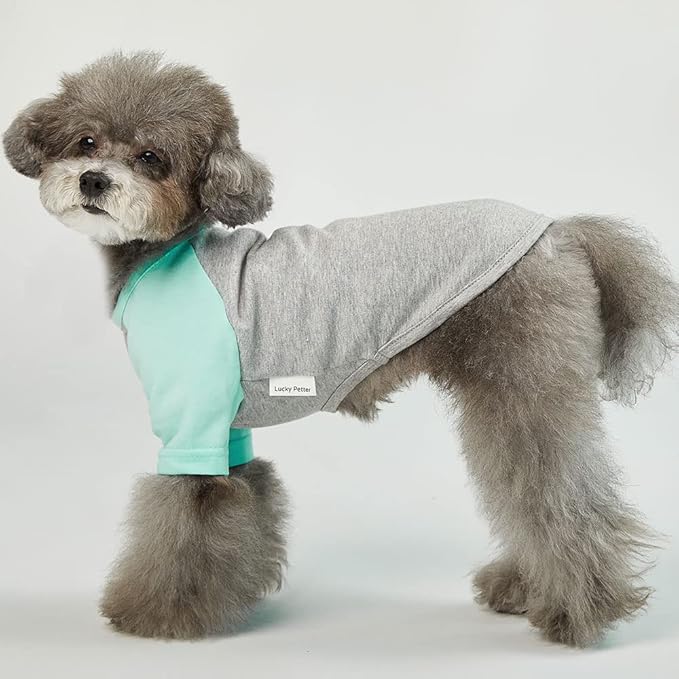 Dog Shirt for Small and Large Dogs, Cotton T-Shirt, Gray/Mint, Large