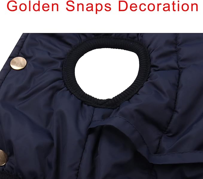 Fleece Lined Warm Dog Jacket for Winter Cold Weather,Soft Windproof Medium Dog Coat,Blue XL