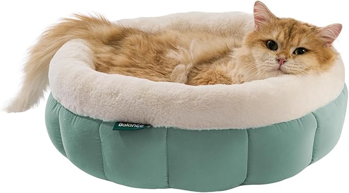 BALANCE Cat Beds for Indoor Cats, Washable Round Cat Bed, Cute Kitten Bed with Anti-Slip Bottom for Kitty and Puppy, 18 Inches, Granite Green