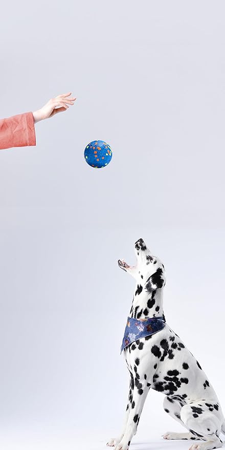 Dog Balls, Indestructible Dog Toy Ball for Aggressive Chewers, Durable High Elasticity Interactive Ball for Training Dog Catch and Fetch, Large Medium Small Dog and Puppies(Blue, 2.5in, 1pcs)