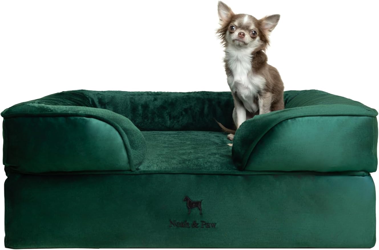 NOAH & PAW Dog Bed, 28x23x11 Inch, Orthopedic Dog Beds for Medium Size Pets, Eggshell Memory Foam Infused with Cooling Gel, Inner Cover, Waterproof, Machine Washable (Velvet Sofa Collection)