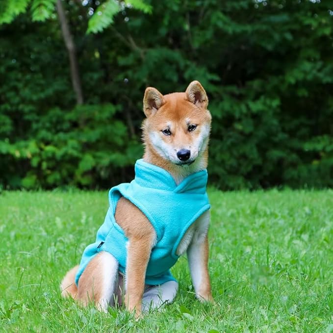 JACKO & CO - Fleece Vest Dog Sweater with Leash Ring - Soft, Warm & Lightweight Pullover Coat for Small & Medium Dogs, Puppies & Cats - Cozy Fall/Winter/Spring Pet Jacket (Turquoise, X-Large 17-25lbs)