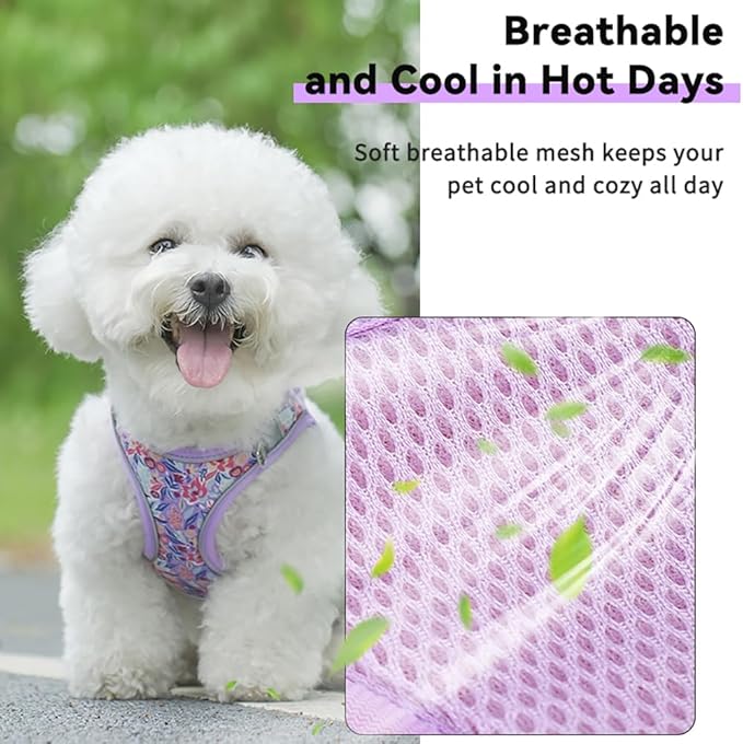 Step in Dog Harness and Leash Set, Flower Adjustable Easy Walk Puppy Harnesses, Soft Mesh Pet Vest Harness Small Size Dog Adjustable No Pull Dog Harness for Small Dogs and Cats(Light Purple, XS)