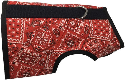 Kitty Holster Cat Harness – Secure Cat Harness for Walking, Soft Cotton Cat Accessories, Comfortable Fit, Strong Hook-and-Loop Closure, Made in USA – Red Bandana, M/L
